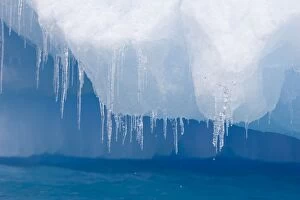 Images Dated 15th January 2007: Icicles on Edge of Iceberg Paulet Island, Antarctica