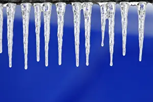 Icicle Prints: Icicles - hanging down from fence in winter - Lower Saxony - Germany