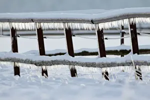 Icicles - hanging down from fence in winter - Lower Saxony - Germany