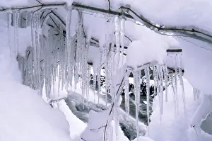 Icicle Prints: Icicles - Near Ithaca New York