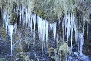 Images Dated 2nd February 2012: Icicles - on the wall around the harbour