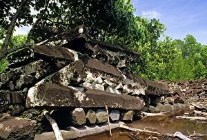 Images Dated 25th August 2009: Idehd, part of the fortress complex Nan Madol (c. 1200 AD) Pohnpei, Micronesia JLR04189