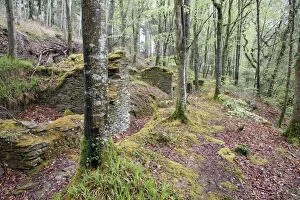 Images Dated 30th April 2008: Idless Woods - ruins of buildings - Cornwall - UK