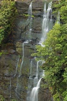 Images Dated 2nd November 2008: idyllic waterfall - very filigrane waterfall, surrounded by lush forest - Moreton National Park