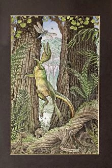 Illustration - Compsognathus attacking a Dragonfly. Jurassic