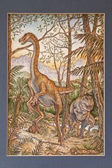 Images Dated 19th April 2012: Illustration - Gallimimus bullatus escapes a Tyrannosaur