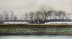 Historical Prints: Illustration - Goose herding. Mr John Taylor's flock of geese