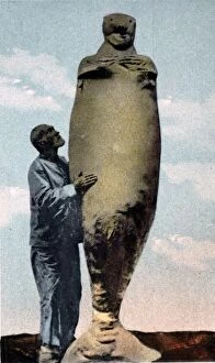 Illustration: Mermaid - souvenir postcard, probably
