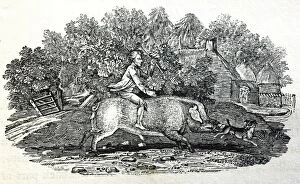 Images Dated 25th August 2006: Illustration - Riding a pig, woodcut by Thomas Bewick