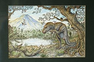 Illustration - Tyrannosaurus Rex scratching. Cretaceous