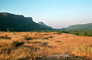 India - Bandhavgarh National Park - Madhya Pradesh