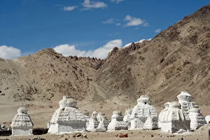 India, Ladakh, Shey, white stupa forest