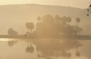 India - Rajbagh CB 7 Main lake in Ranthambhore National Park Rajasthan, India © Chris Brunskill / ARDEA LONDON