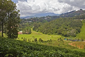 Images Dated 6th July 2011: India, Tamil Nadu, Nilgiri Mountains, UNESCO