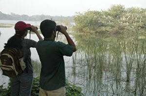 Indian birdwatchers watching Painted Storks nesting