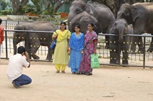 Bombay Gallery: Indian family at Bombay Zoo - with Elephants in background