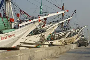 Ports Prints: Indonesian boats - Phinisi tradional sailing boats - Jakarta harbour