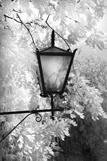 Infra Red Black & White view of light fixture