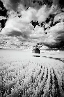 Eggers Prints: Infrared Palouse fields and barn. (PR) Date: 12-06-2011