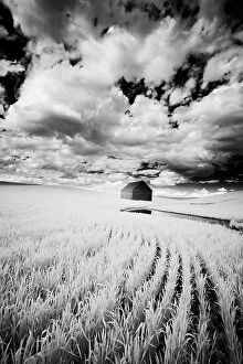 Images Dated 6th May 2021: Infrared Palouse fields and barn. (PR) Date: 12-06-2011