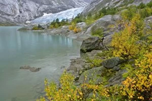 Inland glacier - with colouful birches and glacier lake in autumn