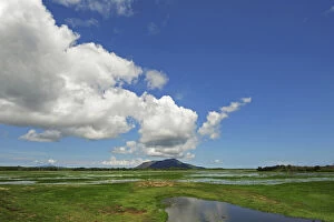Images Dated 6th July 2011: Inland Madagascar. Landscape of river