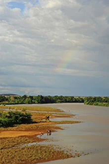 Images Dated 6th July 2011: Inland Madagascar. Red river amid vegetation