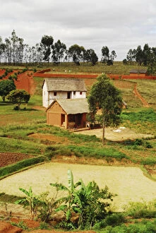 Images Dated 6th July 2011: Inland Madagascar. Typical Malagasy house
