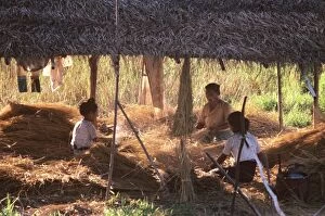 Burma Gallery: Inle Lake villagers weaving vegetation