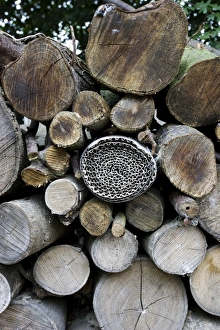 Images Dated 2nd September 2007: Insect or bug hotel made from plastic bottle and roll of corrugated cardboard in log pile