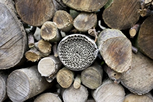 Images Dated 2nd September 2007: Insect or bug hotel made from plastic bottle and roll of corrugated cardboard in log pile
