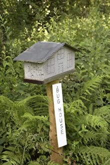 Images Dated 15th July 2012: Insect House