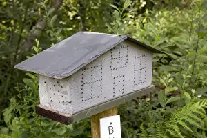 Nest Boxes Prints: Insect House - Cornwall - UK