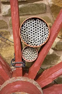 Wooden Prints: Insect house - habitat with hollow tubes of varying sizes to attract bees