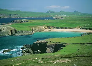 Track Prints: Ireland AL 2367 Dingle peninsula © Ake Lindau / ARDEA LONDON