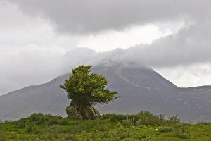 Stormy Gallery: Ireland, County Mayo. Landscape with Croagh