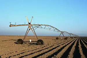 Cotton Prints: Irrigation - cotton field. Guadalquivir delta - Spain