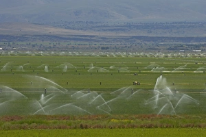 Images Dated 3rd May 2006: Irrigation of fertile valley Klamath Falls area Oregon, USA LA000819
