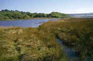 Lagoons Prints: Isle of Wight - Brading - lagoon