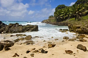 Images Dated 11th May 2009: Isolated beach on Fregate Island