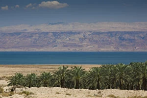 Dead Gallery: Israel, Dead Sea, Metzoke Dragot, Dead Sea