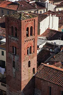 Tower Prints: Italy, Tuscany, Lucca. The bell tower of the church San Pietro Somaldi