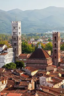 Historic Prints: Italy, Tuscany, Lucca. The rooftops of the historic center of Lucca and the medieval bell tower of St