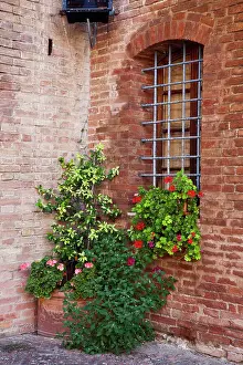 Region Prints: Italy, Tuscany. Plants inside the Abbazia di Monte Oliveto Maggiore