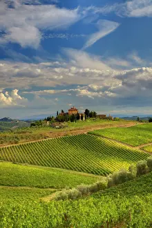 Region Prints: Italy, Tuscany. A view of the vineyards and villa in Chianti region of Tuscany