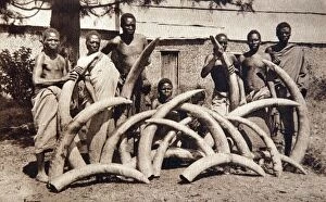 Ivory collecting in Nyasaland, old postcard probably c1920s