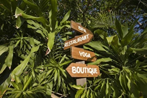 Images Dated 4th January 2011: Jamaica, Negril, Wooden signs at Rockhouse