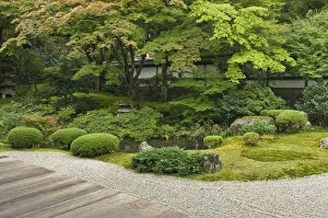 Buddhism Gallery: Japan, Kyoto, Sennyuji Temple Garden