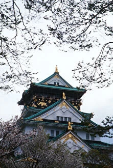 Japan, Osaka. Osaka Castle and cherry blossom