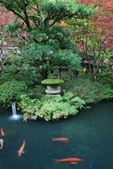 Images Dated 21st May 2012: Japan, Tokyo, Japanese Garden